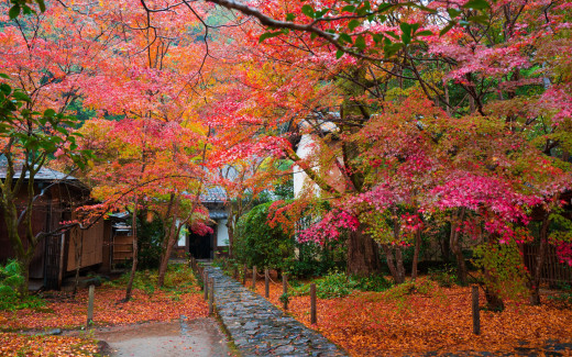 1237976 (a): :2880x1800